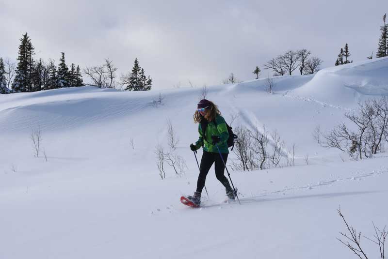 Wintersport Lapland